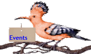 Events