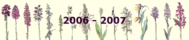 2006 - 2007