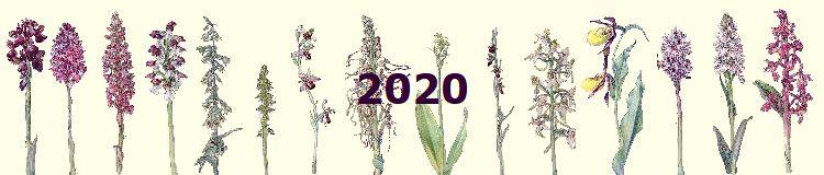 2020