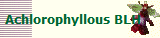 Achlorophyllous BLH