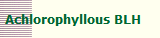 Achlorophyllous BLH