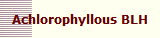 Achlorophyllous BLH