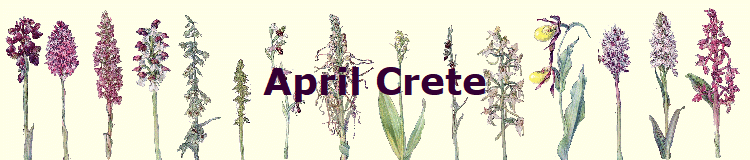 April Crete