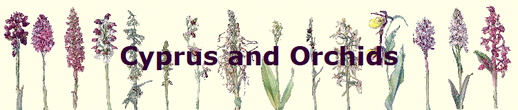 Cyprus and Orchids