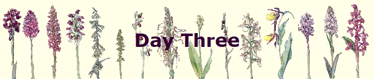 Day Three