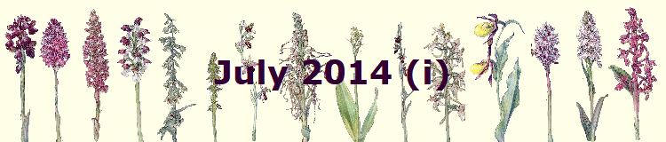 July 2014 (i)