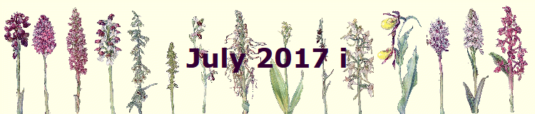 July 2017 i