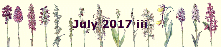 July 2017 iii