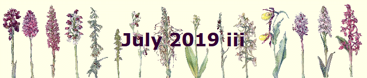July 2019 iii