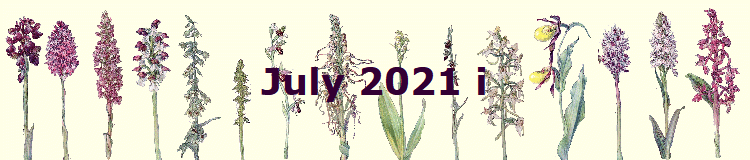 July 2021 i
