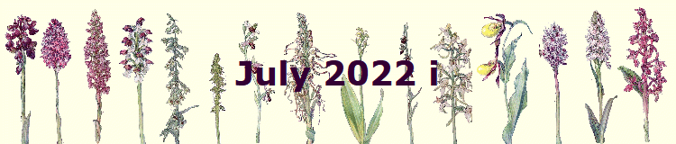July 2022 i