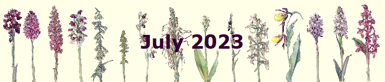 July 2023