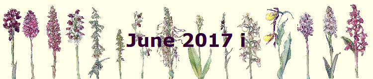 June 2017 i