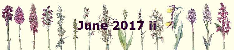 June 2017 ii