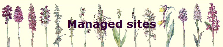 Managed sites