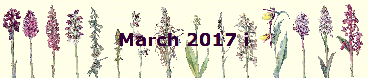 March 2017 i