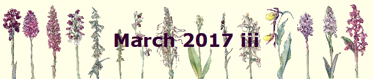 March 2017 iii