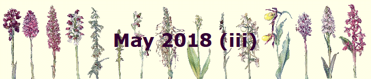 May 2018 (iii)