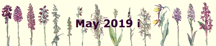 May 2019 i