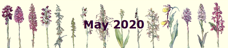 May 2020