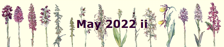 May 2022 ii