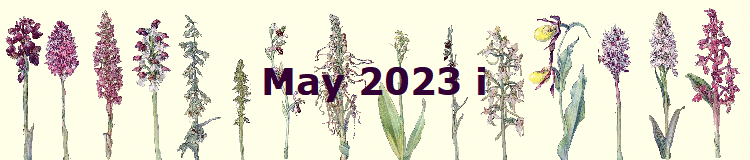 May 2023 i