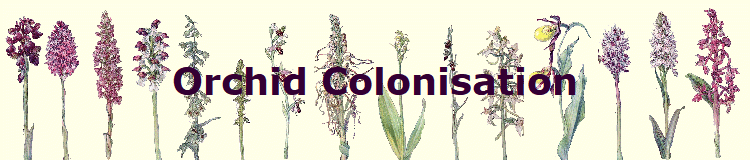 Orchid Colonisation