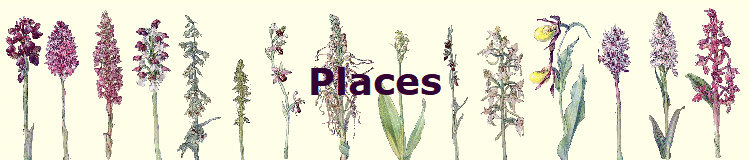 Places