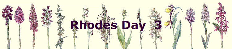Rhodes Day  3