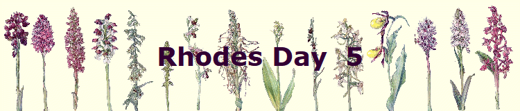 Rhodes Day  5