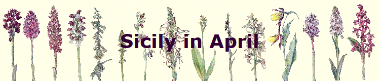 Sicily in April