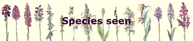 Species seen