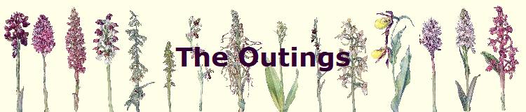 The Outings