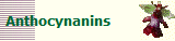 Anthocynanins