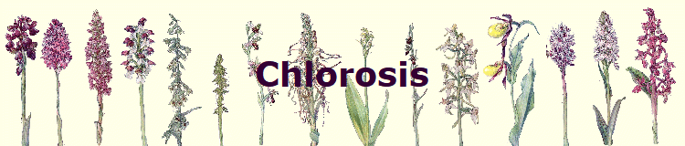 Chlorosis