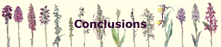 Conclusions