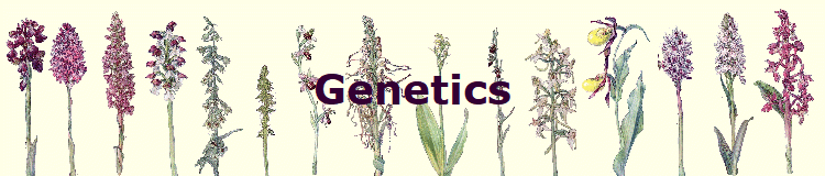 Genetics