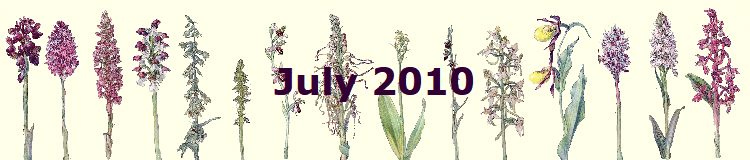 July 2010