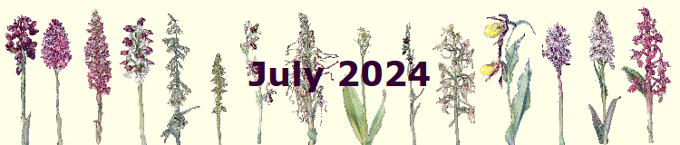 July 2024