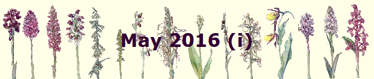 May 2016 (i)