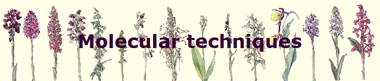 Molecular techniques
