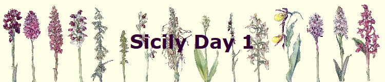 Sicily Day 1