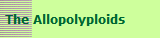 The Allopolyploids