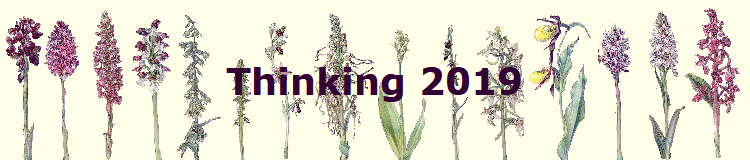 Thinking 2019