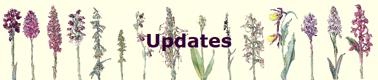Updates