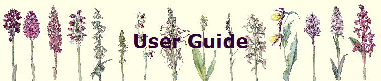 User Guide