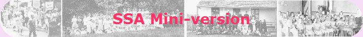 SSA Mini-version
