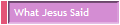 What Jesus Said