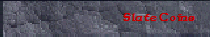Slate Coins