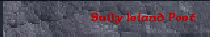 Sully Island Post